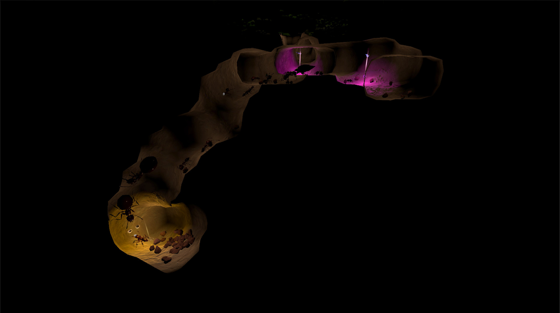 AntQueen 3D - скриншот 2
