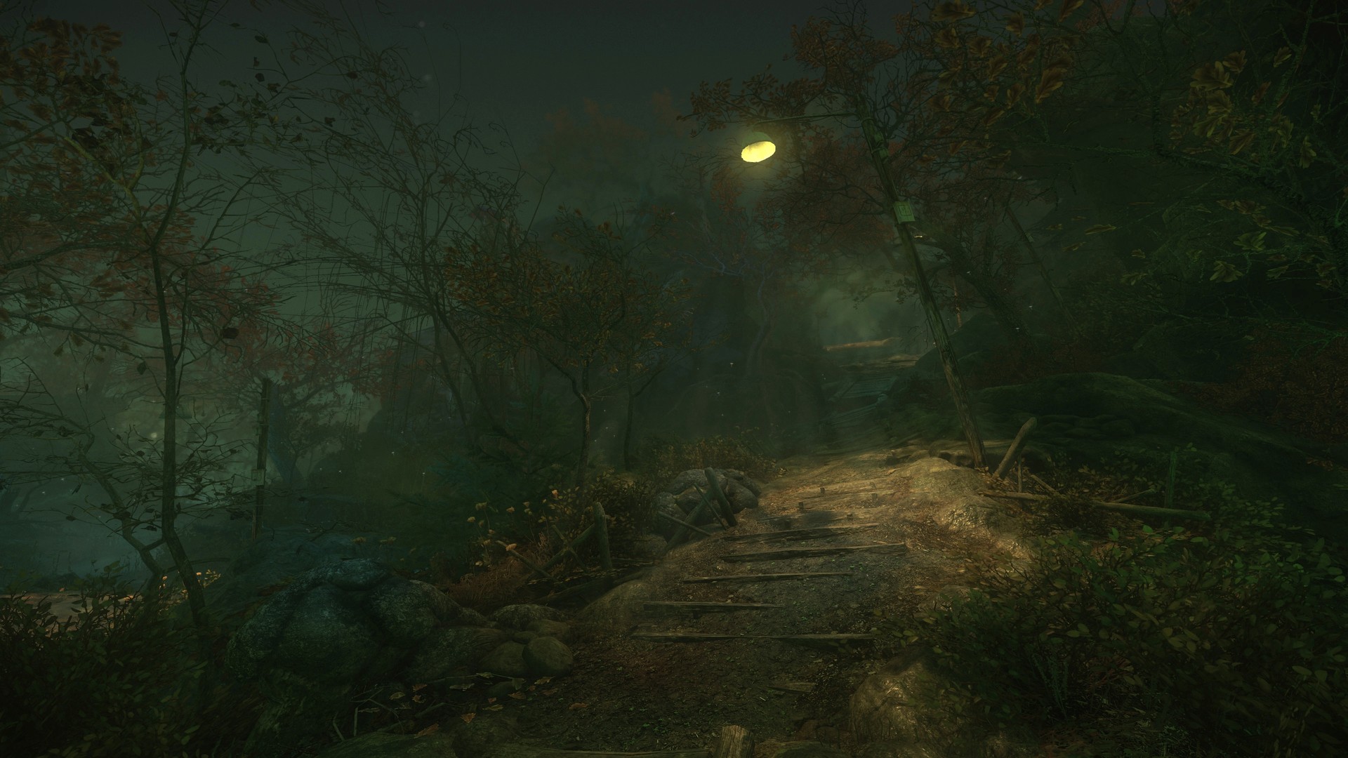 The Cursed Forest - скриншот 2