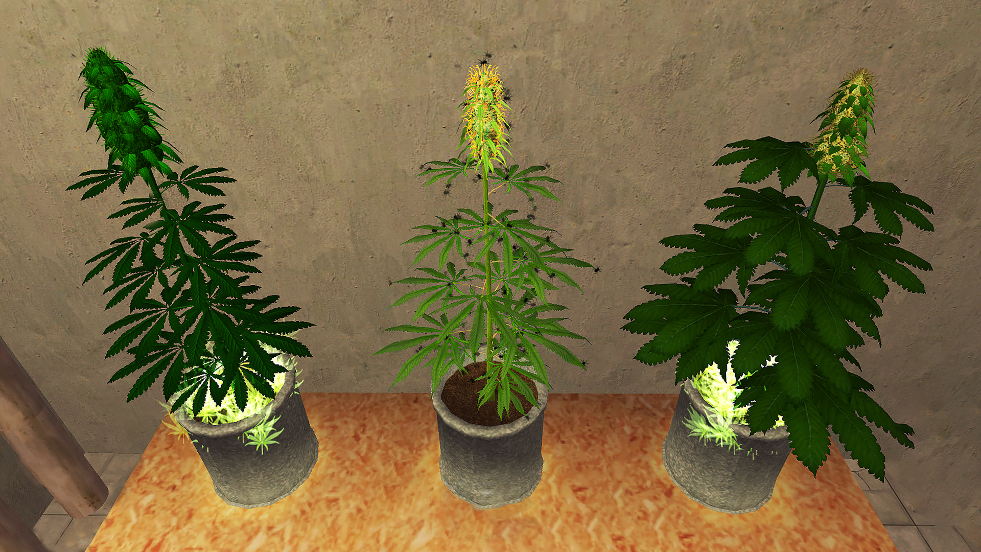 Weed Shop 2 - скриншот 1